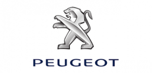 peugeot Car key replacement 